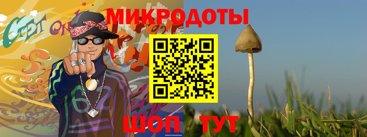 закладка  Галлюциногенные грибы Psilocybine cubensis  Вход с VPN  Юрга 